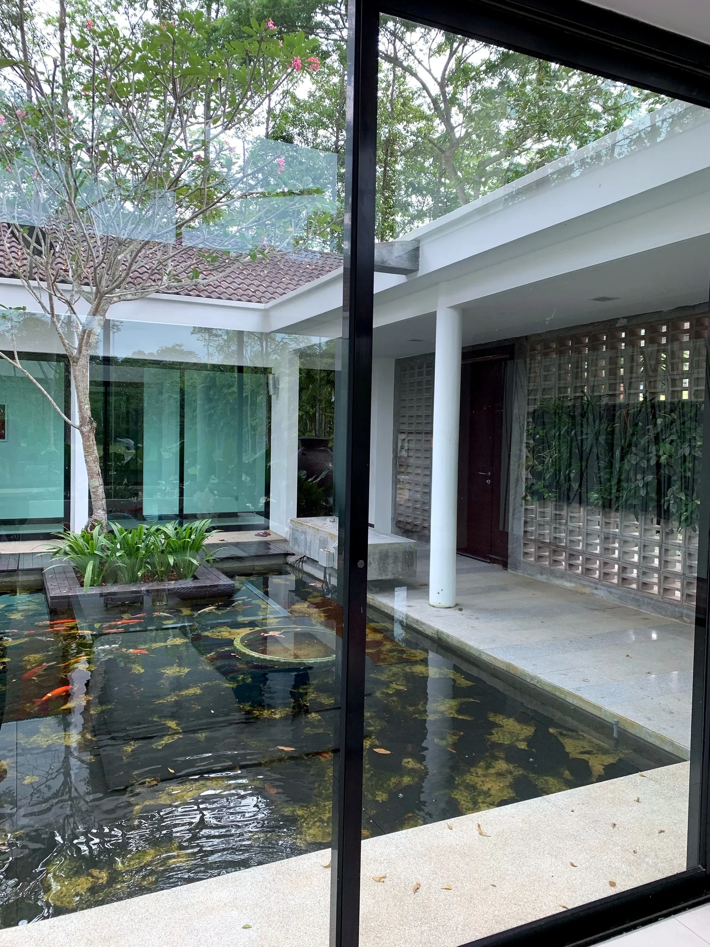 Pond, tropical planting and sheltered courtyard edge